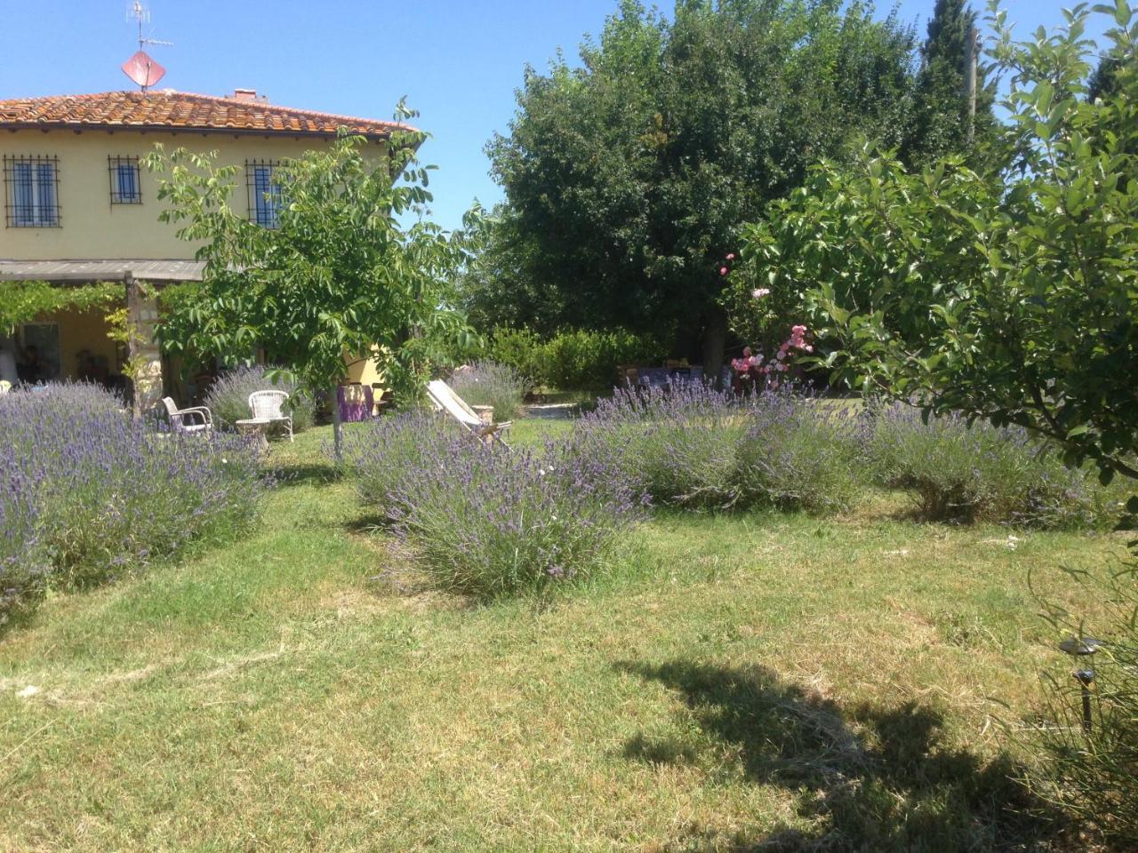Agriturismo Papageno Rignano sullʼArno المظهر الخارجي الصورة